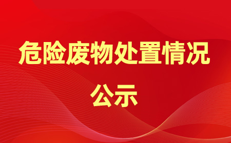 2024年危險廢物產(chǎn)生、處置情況公示